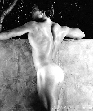 Colt presents Lou Volpe by Colt Studio image 14