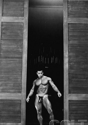 Chris Dickerson by Colt Studio image 6