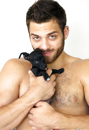 Pornstars and puppy dogs