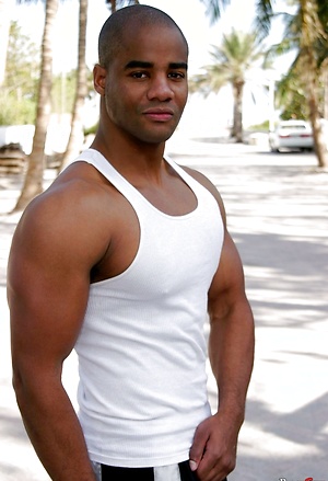 Jason Taylor by Black Stud Society image 1
