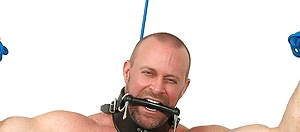 Casey Williams bounded by Bound Jocks image 3