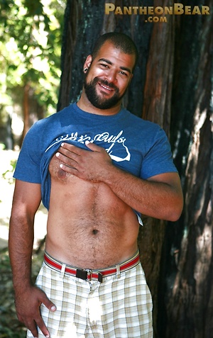 Roman Wright by Pantheon Bear image 1