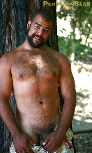 Roman Wright by Pantheon Bear image 4