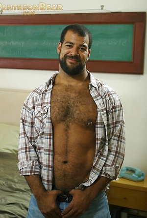 Roman Wright by Pantheon Bear image 3