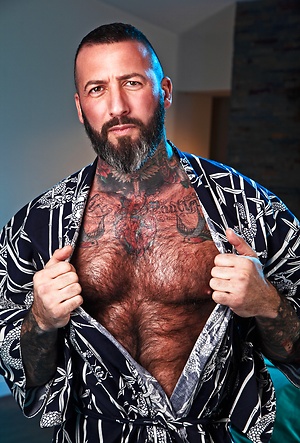 At Large by Raging Stallion image 1