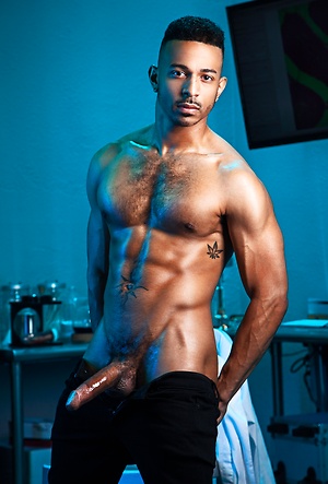 At Large by Raging Stallion image 4