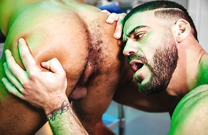 At Large by Raging Stallion image 9