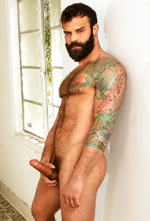 Haulin' Ass by Raging Stallion image 5
