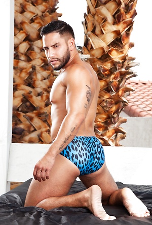 Loaded: Give It To Me Raw! by Raging Stallion image 3