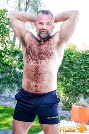 Tiger Pounce by Bear Films image 3