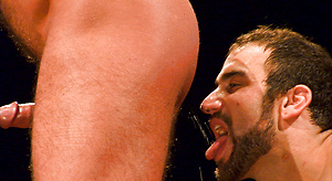 Spencer Reed, Jessie Colter, Lawson Kane, Draven Torres, Dirk Caber, Archer Quan, Punched and Pounded