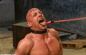The Veteran & The Newcomer - Live Shoot by Bound Gods image 9