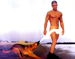 Mark Wahlberg by Male Stars image 7