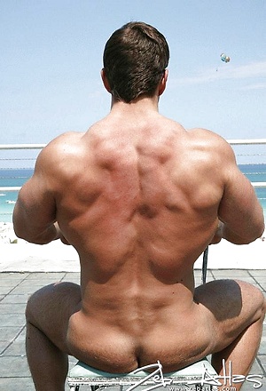 Hot muscular body
