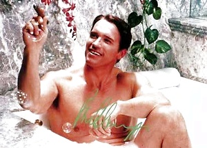 Arnold Schwarzenegger by Male Stars image 3