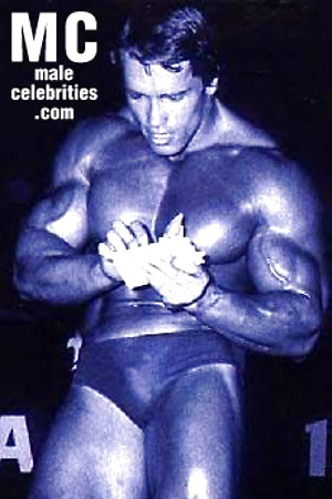 Arnold Schwarzenegger by Male Stars image 4