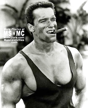 Arnold Schwarzenegger by Male Stars image 6