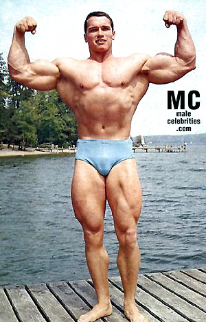 Arnold Schwarzenegger by Male Stars image 9