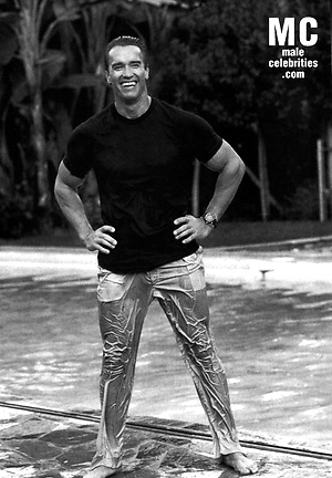 Arnold Schwarzenegger by Male Stars image 10
