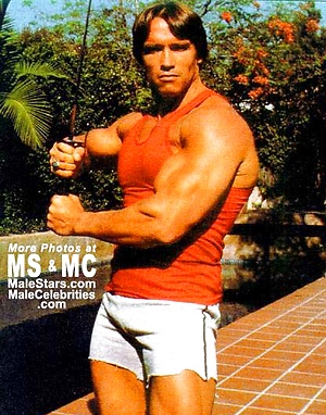 Arnold Schwarzenegger by Male Stars image 12