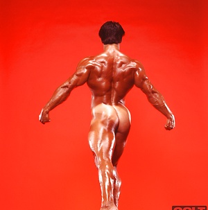 COLT Studio Group - Link Benedict by Colt Studio image 9